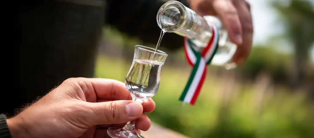 pálinka töltése kis talpas pohárba kültéri háttérrel, 1 pálinka mennyi idő alatt megy ki a szervezetből illusztráció